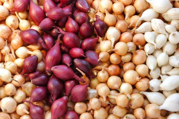 Кракен вход