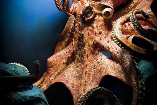 Кракен наркологический