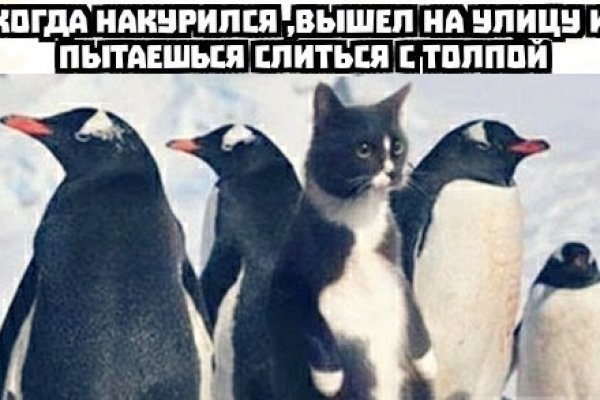 Купить наркоту