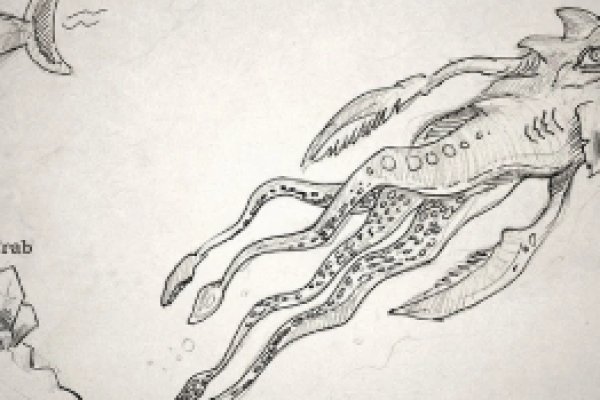 Кракен как проверить зеркало